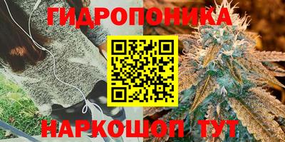 МДПВ Можайск