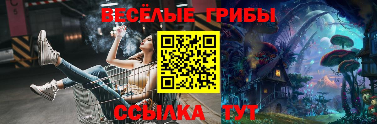 Галлюциногенные грибы мухоморы Ессентуки